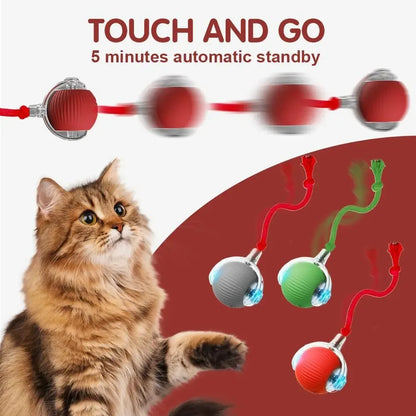 Interactive Rolling Ball Cat Toy