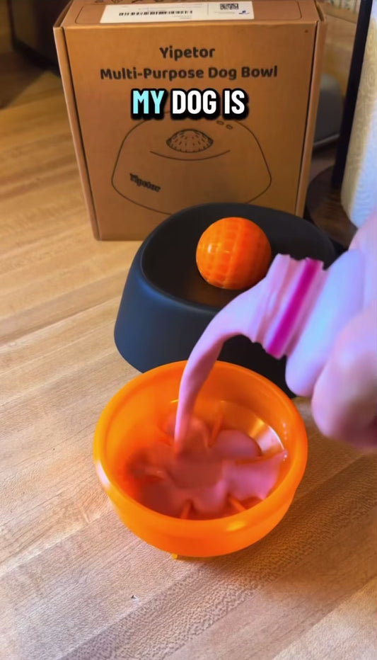 LickiRoll™ Slow Feeder Bowl